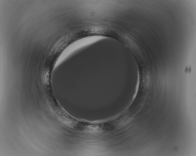X0000111020502200907101343