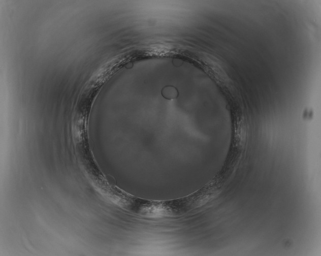 X0000111020503200907101343