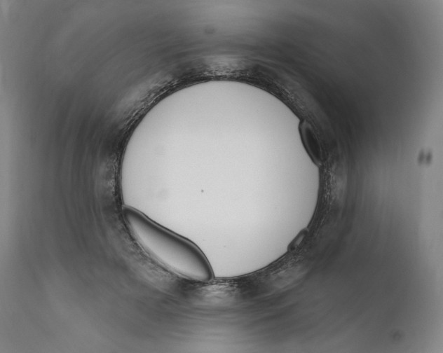 X0000111020505200907101343