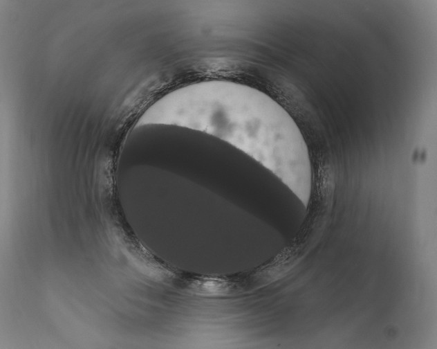 X0000111020506200907101343