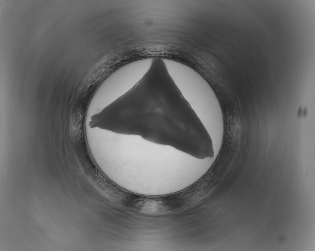 X0000111020507200907101343