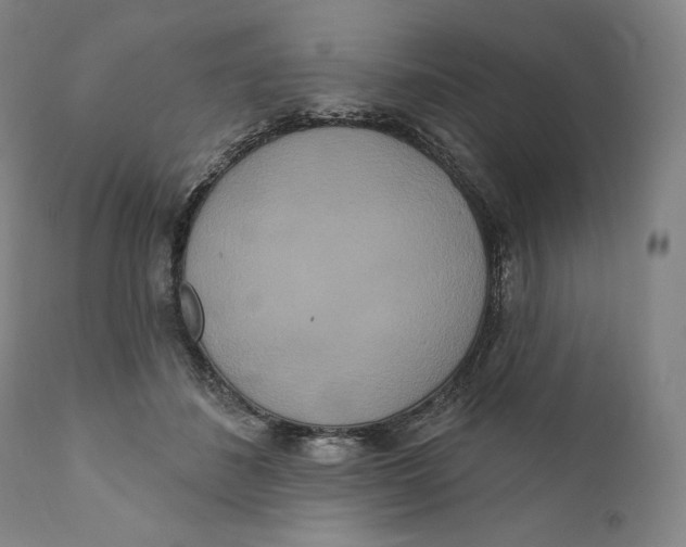 X0000111020508200907101343