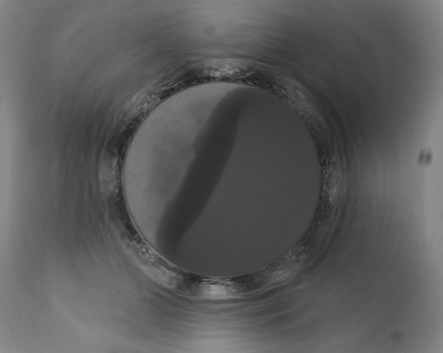 X0000111020510200907101343