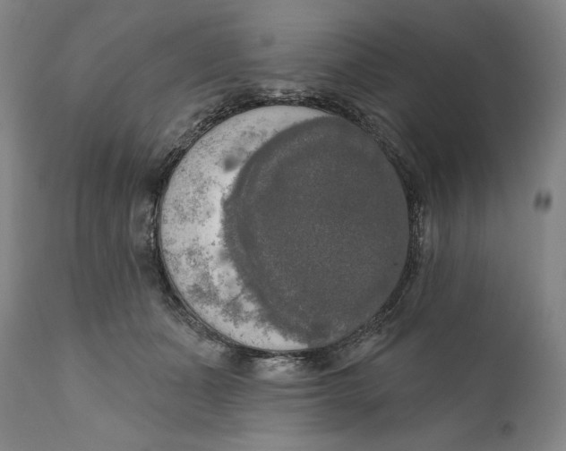 X0000111020511200907101343