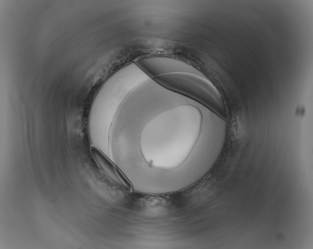 X0000111020512200907101343