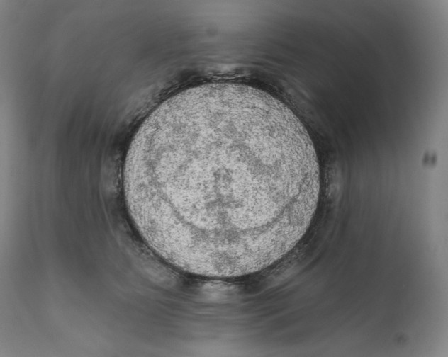 X0000111020515200907101343