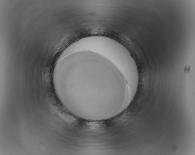 X0000111020516200907101343
