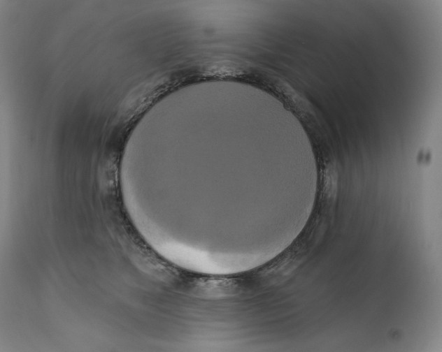 X0000111020517200907101343