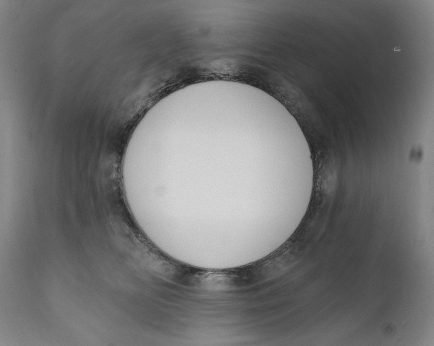 X0000111020518200907101342