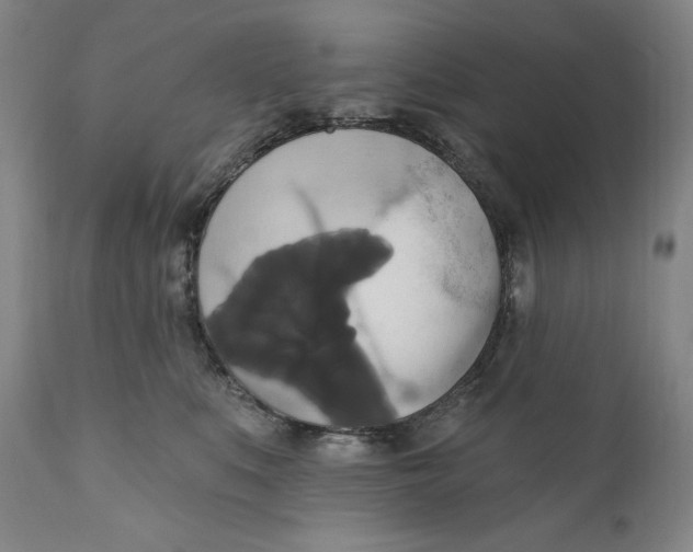 X0000111020519200907101342