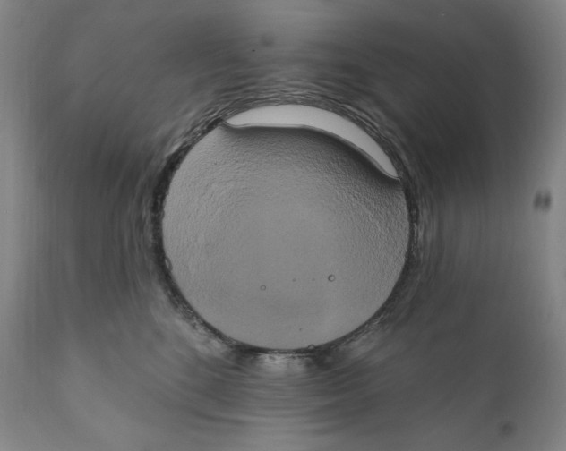 X0000111020520200907101342