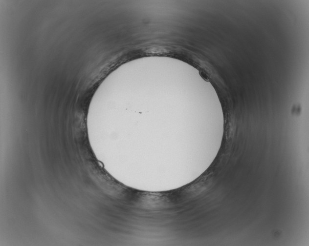 X0000111020521200907101342