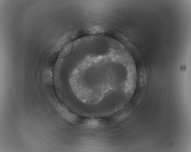 X0000111020523200907101342