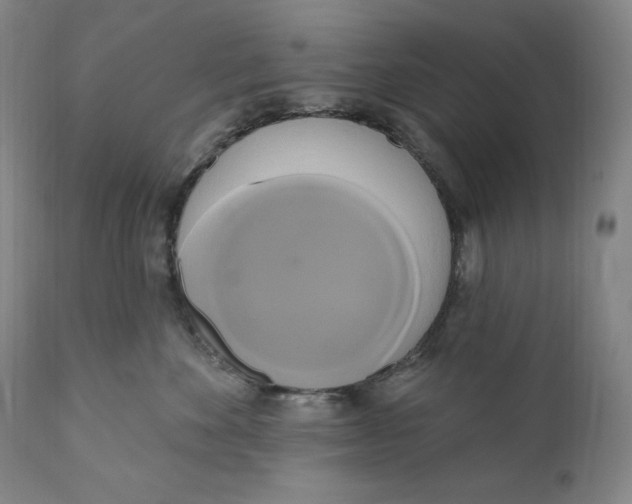 X0000111020524200907101342