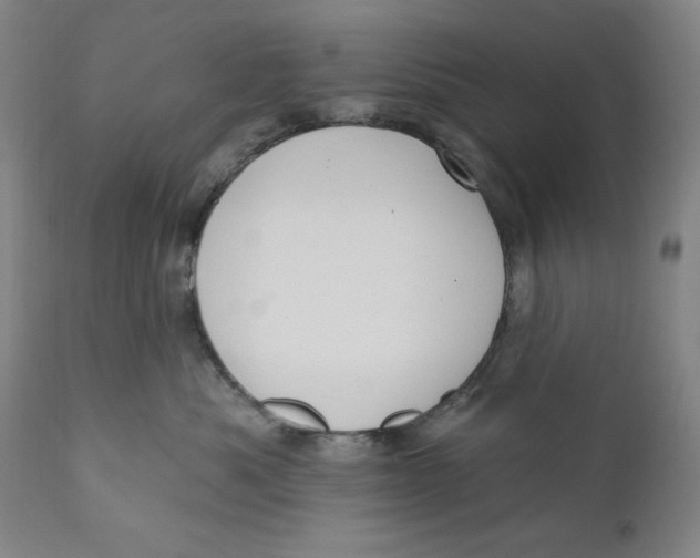 X0000111020525200907101342