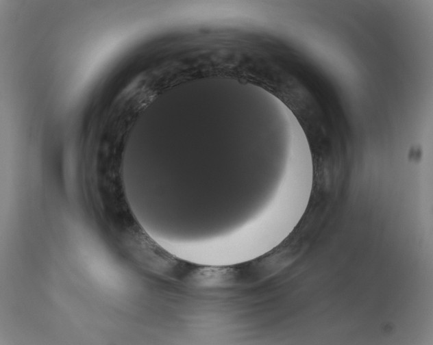 X0000111020526200907101342