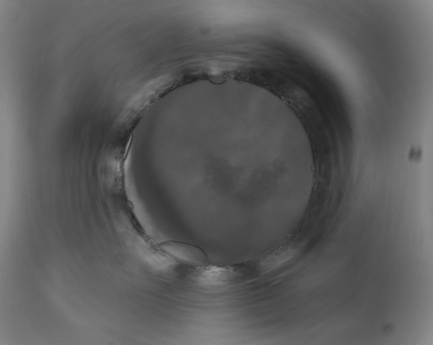 X0000111020527200907101342
