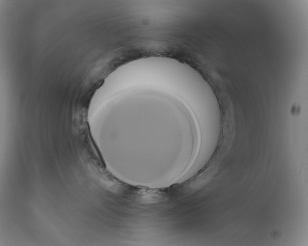 X0000111020528200907101342
