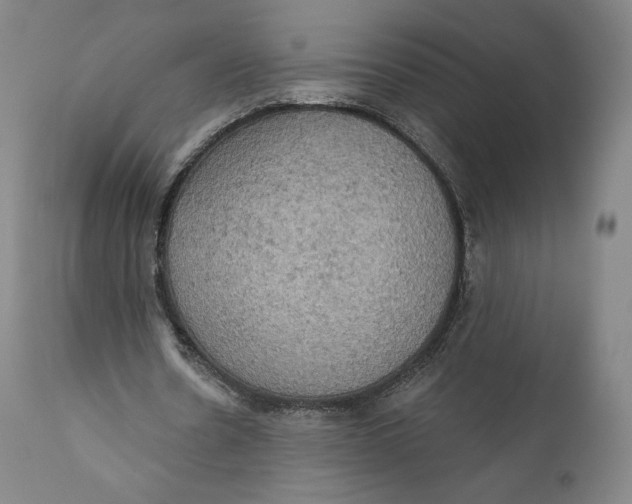 X0000111020530200907101342