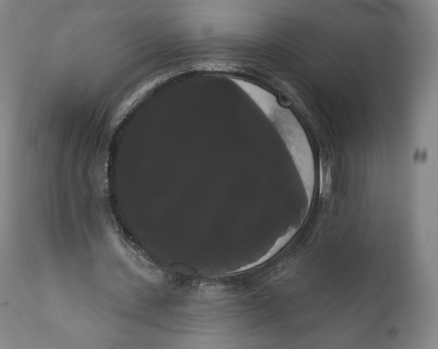 X0000111020531200907101342