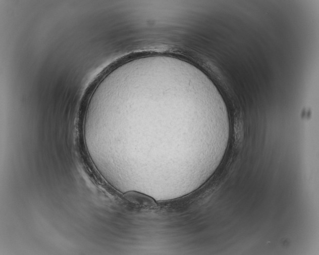 X0000111020532200907101342