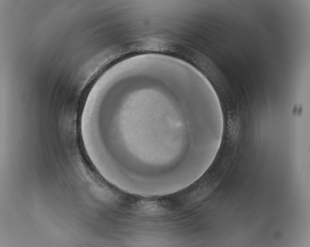 X0000111020534200907101342