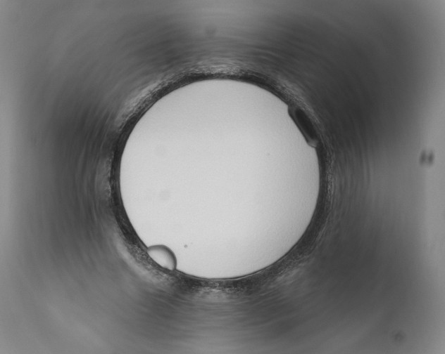 X0000111020538200907101342