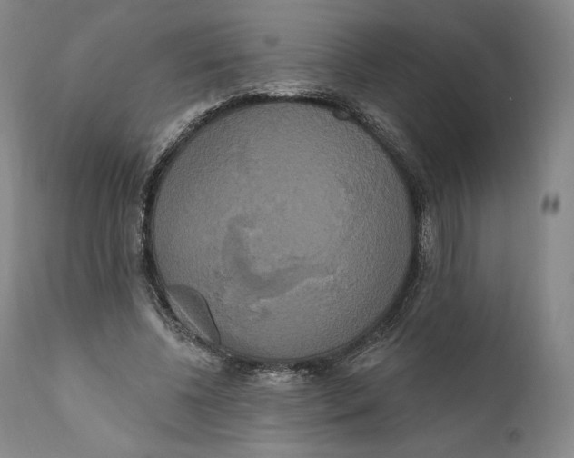 X0000111020540200907101342
