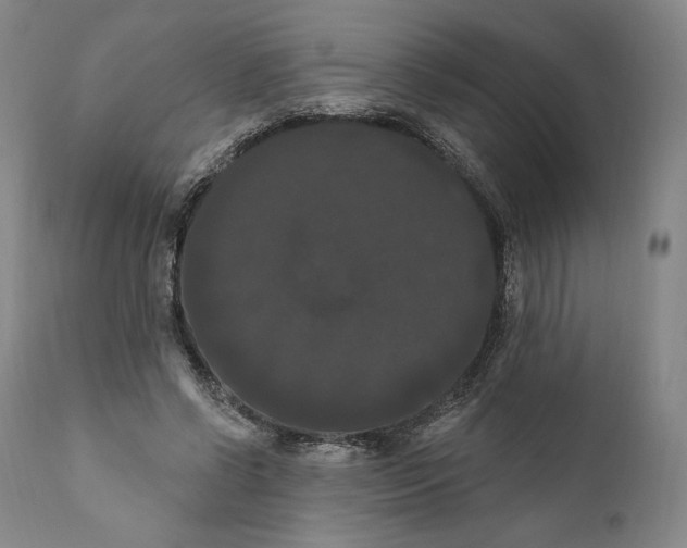 X0000111020542200907101342