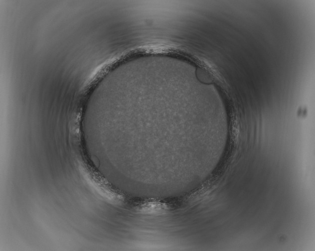 X0000111020543200907101342