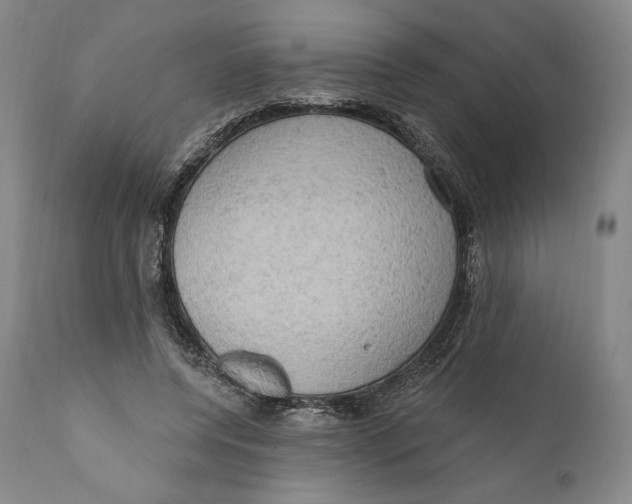 X0000111020544200907101342
