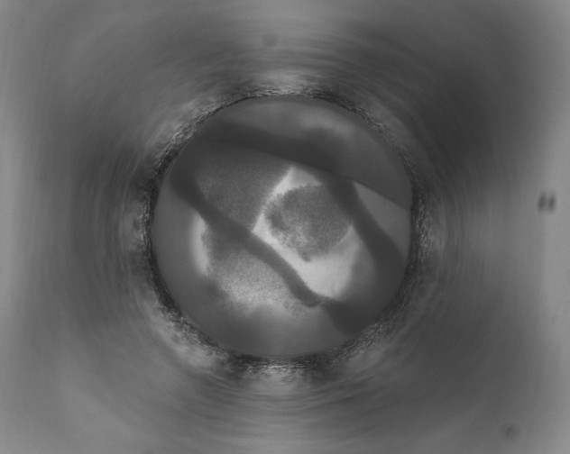 X0000111020546200907101342