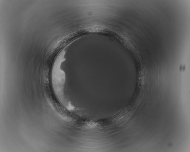 X0000111020547200907101342