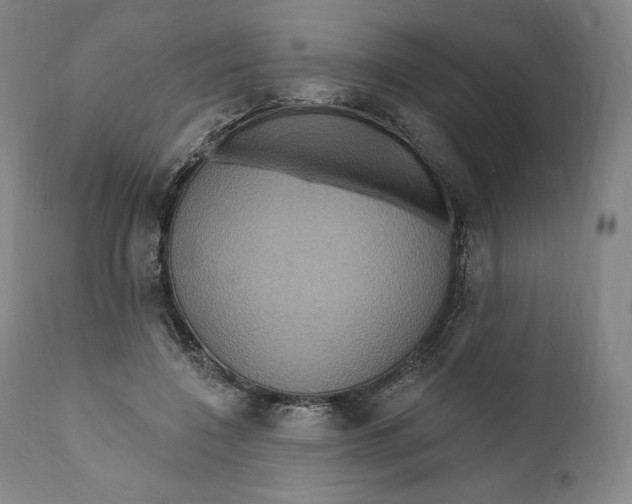 X0000111020548200907101342
