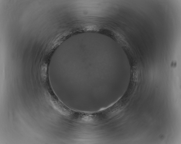 X0000111020550200907101342