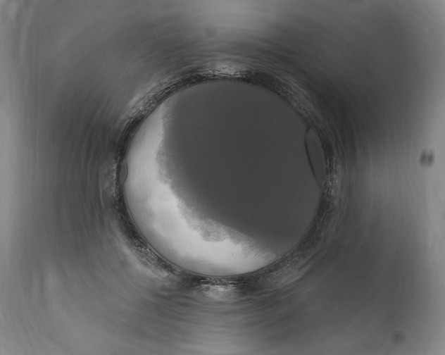X0000111020552200907101342