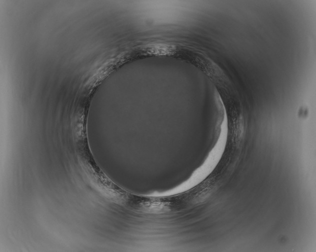 X0000111020553200907101342