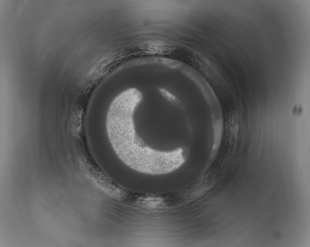 X0000111020554200907101342