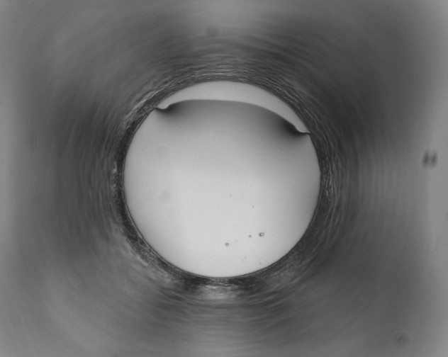 X0000111020556200907101342