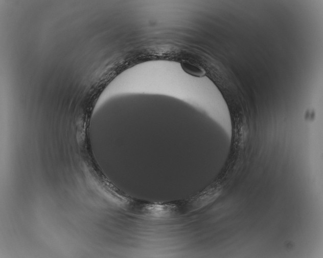 X0000111020558200907101342