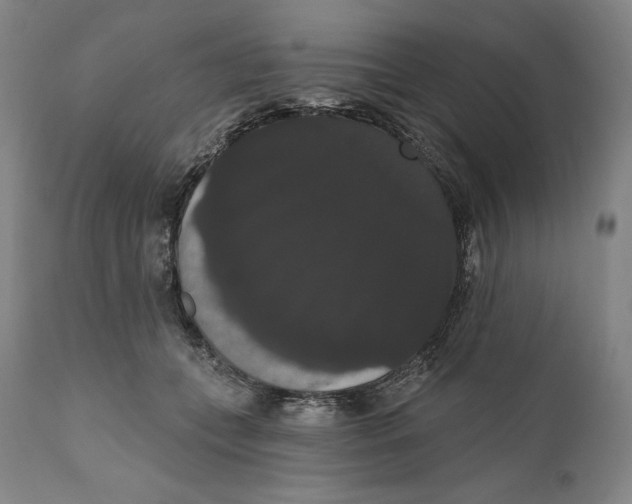 X0000111020559200907101342