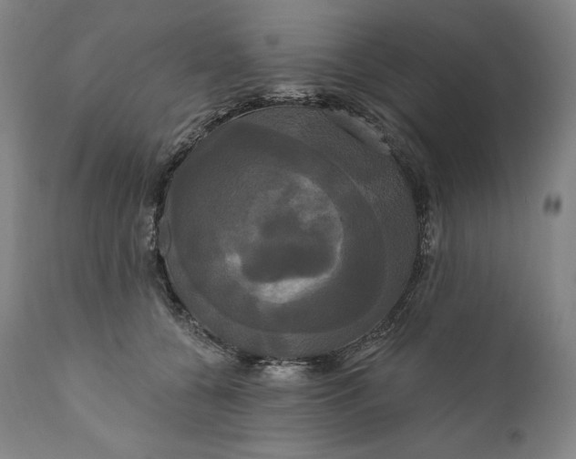 X0000111020560200907101342