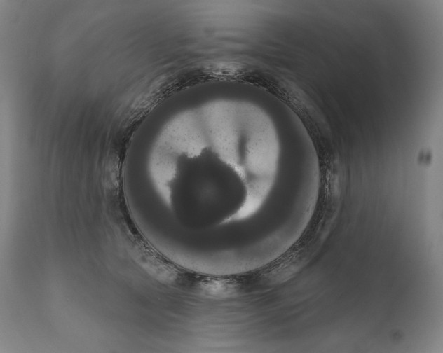 X0000111020561200907101342
