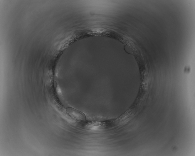 X0000111020563200907101342