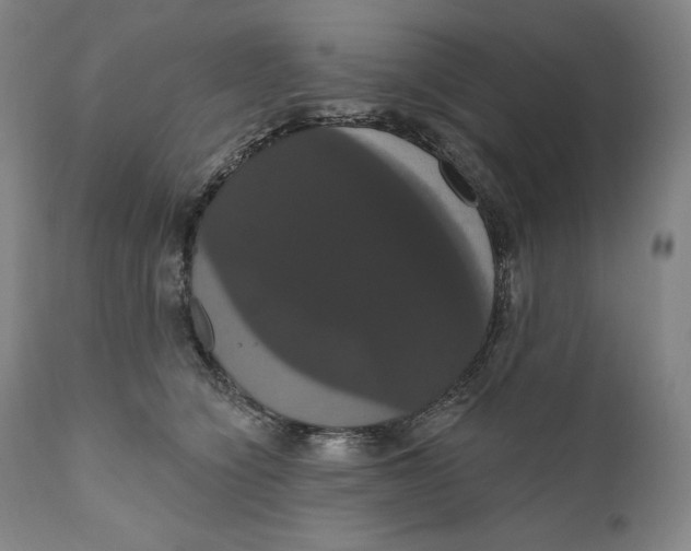X0000111020564200907101342