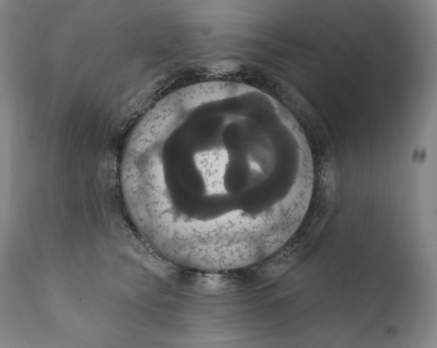 X0000111020565200907101342