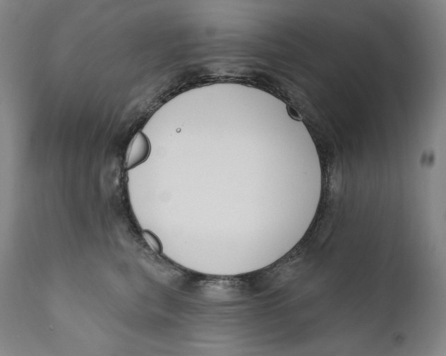 X0000111020567200907101342