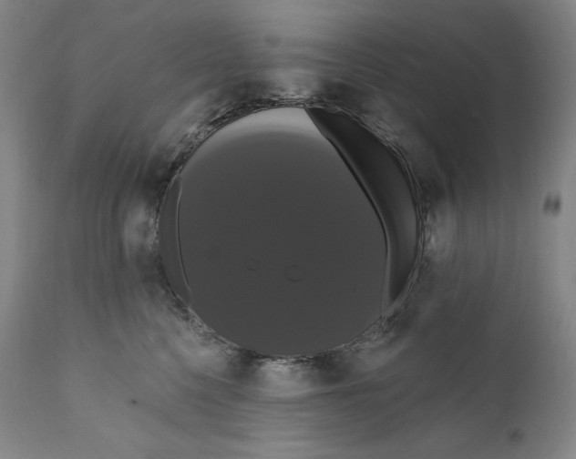 X0000111020568200907101342