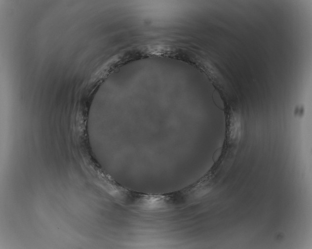 X0000111020569200907101342