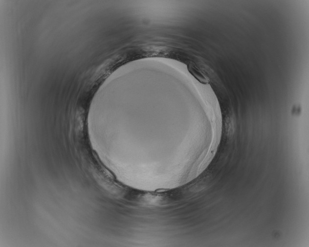 X0000111020570200907101342